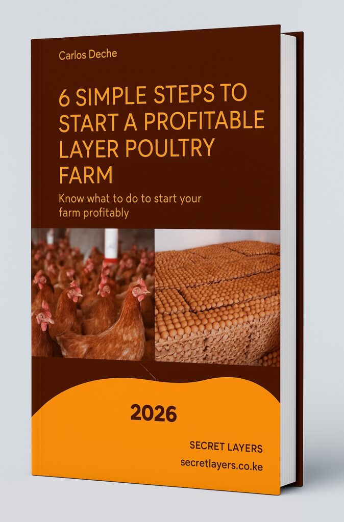 Free beginners guide to starting a profitable layer poultry farm. Step by Step guide.