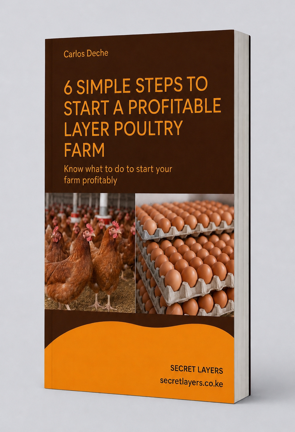 Free beginners guide to starting a profitable layer poultry farm. Step by Step guide.